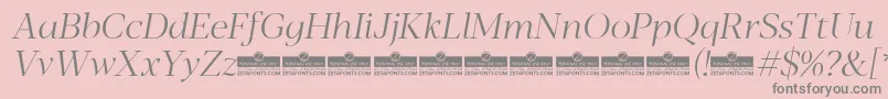 Blacker Display Light Italic trial Font – Gray Fonts on Pink Background