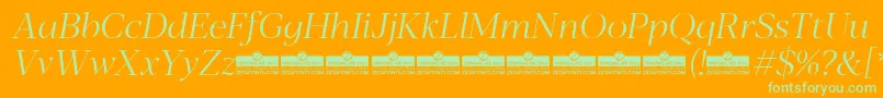 Blacker Display Light Italic trial Font – Green Fonts on Orange Background