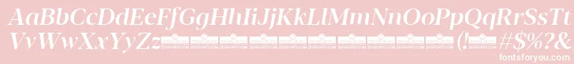 Blacker Display Medium Italic trial Font – White Fonts on Pink Background