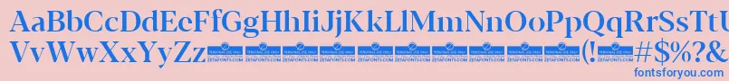 Blacker Display Medium trial Font – Blue Fonts on Pink Background