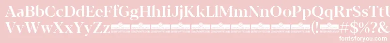 Blacker Display Medium trial Font – White Fonts on Pink Background