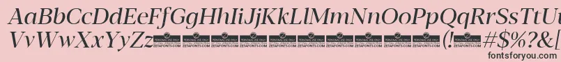 Blacker Display Regular Italic trial Font – Black Fonts on Pink Background