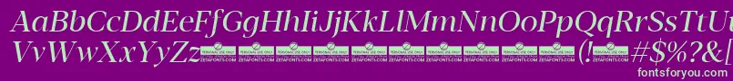 Blacker Display Regular Italic trial Font – Green Fonts on Purple Background
