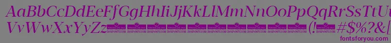Blacker Display Regular Italic trial Font – Purple Fonts on Gray Background