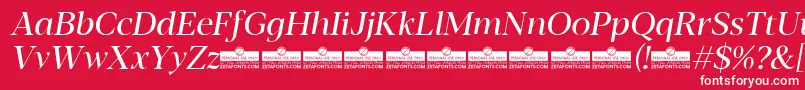 Шрифт Blacker Display Regular Italic trial – белые шрифты на красном фоне