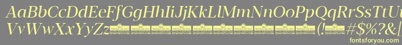 Blacker Display Regular Italic trial Font – Yellow Fonts on Gray Background