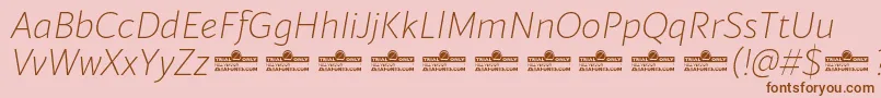 Blacker Sans Extralight Italic trial Font – Brown Fonts on Pink Background