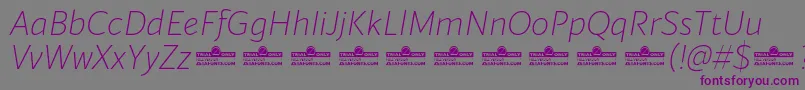 Blacker Sans Extralight Italic trial Font – Purple Fonts on Gray Background