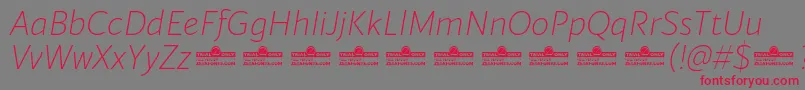 Blacker Sans Extralight Italic trial Font – Red Fonts on Gray Background