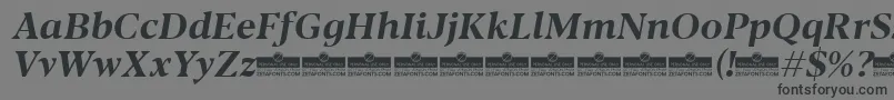 Blacker Text Bold Italic trial Font – Black Fonts on Gray Background