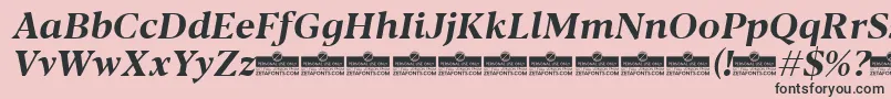 フォントBlacker Text Bold Italic trial – ピンクの背景に黒い文字