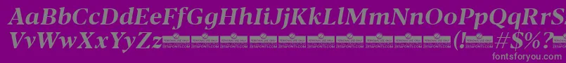 Blacker Text Bold Italic trial Font – Gray Fonts on Purple Background