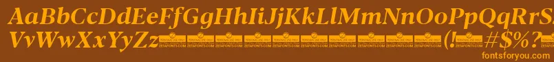 Шрифт Blacker Text Bold Italic trial – оранжевые шрифты на коричневом фоне