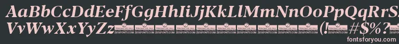 Шрифт Blacker Text Bold Italic trial – розовые шрифты на чёрном фоне