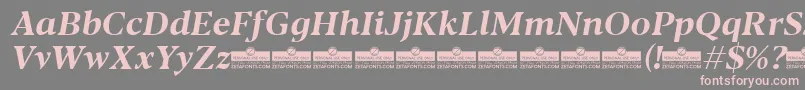 Fonte Blacker Text Bold Italic trial – fontes rosa em um fundo cinza