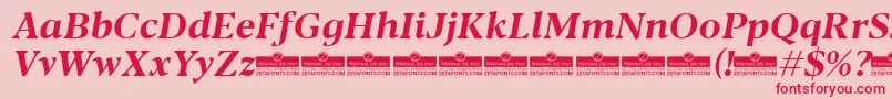 Шрифт Blacker Text Bold Italic trial – красные шрифты на розовом фоне