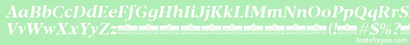 Blacker Text Bold Italic trial-fontti – valkoiset fontit vihreällä taustalla