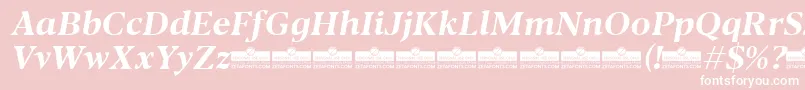Шрифт Blacker Text Bold Italic trial – белые шрифты на розовом фоне