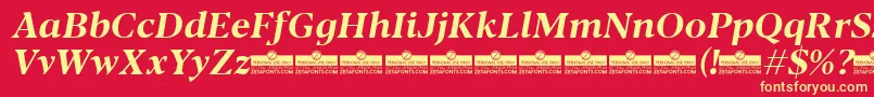 Blacker Text Bold Italic trial Font – Yellow Fonts on Red Background
