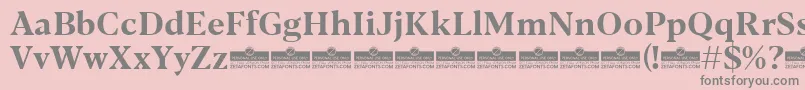 Blacker Text Bold trial Font – Gray Fonts on Pink Background