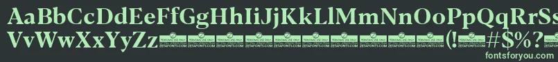 Blacker Text Bold trial Font – Green Fonts on Black Background