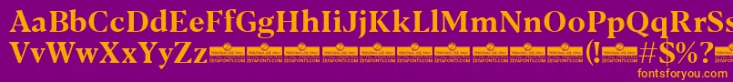 Blacker Text Bold trial Font – Orange Fonts on Purple Background