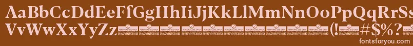 Blacker Text Bold trial Font – Pink Fonts on Brown Background