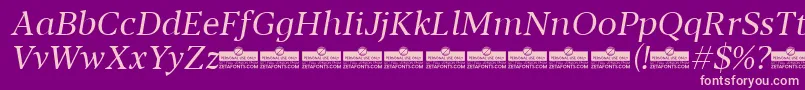 Шрифт Blacker Text Book Italic trial – розовые шрифты на фиолетовом фоне