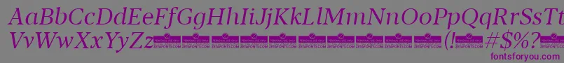 Czcionka Blacker Text Book Italic trial – fioletowe czcionki na szarym tle