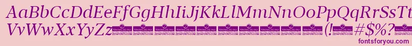 Blacker Text Book Italic trial Font – Purple Fonts on Pink Background