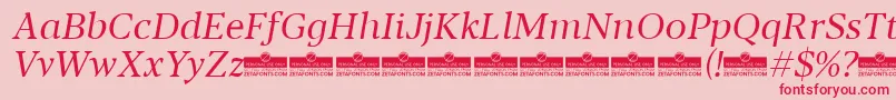 Blacker Text Book Italic trial Font – Red Fonts on Pink Background