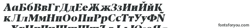 Шрифт Blacker Text Heavy Italic trial – болгарские шрифты