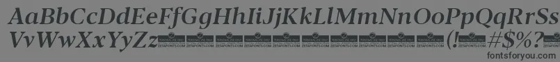 Шрифт Blacker Text Medium Italic trial – чёрные шрифты на сером фоне