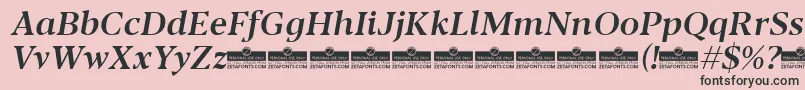 Czcionka Blacker Text Medium Italic trial – czarne czcionki na różowym tle