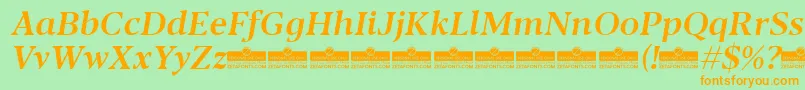 Blacker Text Medium Italic trial Font – Orange Fonts on Green Background