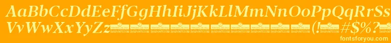 Blacker Text Medium Italic trial Font – Yellow Fonts on Orange Background