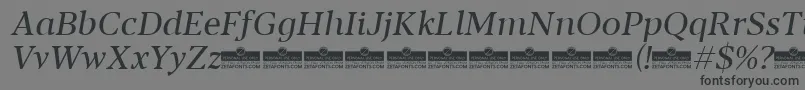 Blacker Text Regular Italic trial Font – Black Fonts on Gray Background