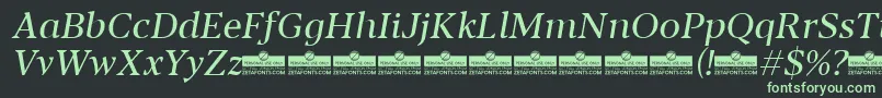 Blacker Text Regular Italic trial Font – Green Fonts on Black Background