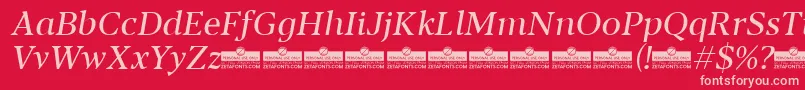 Blacker Text Regular Italic trial Font – Pink Fonts on Red Background