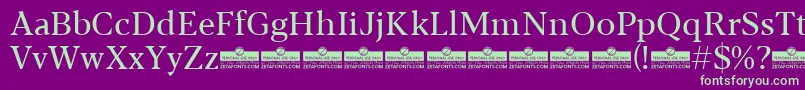 Blacker Text Regular trial Font – Green Fonts on Purple Background