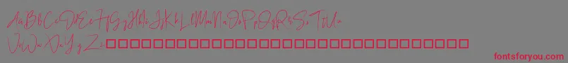 BlackSingature Font – Red Fonts on Gray Background