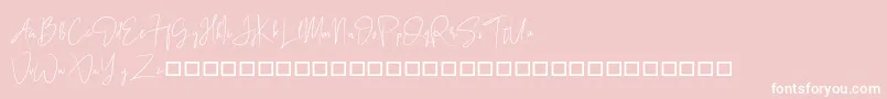 BlackSingature Font – White Fonts on Pink Background