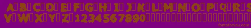 BLACM    Font – Brown Fonts on Purple Background