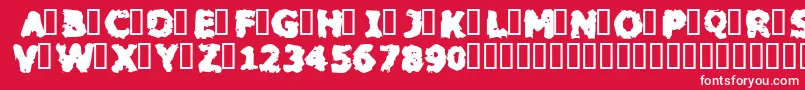 BLACM    Font – White Fonts on Red Background