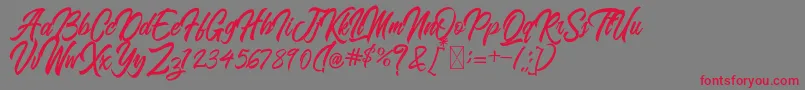BlangkonScript Font – Red Fonts on Gray Background