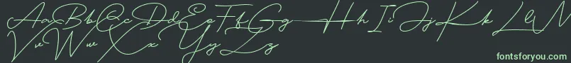 Blankid Font – Green Fonts on Black Background