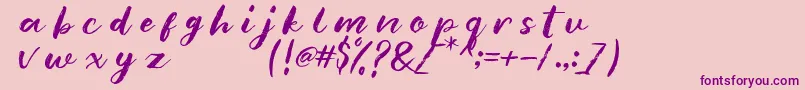 fuente blankmonkey – Fuentes Moradas Sobre Fondo Rosa