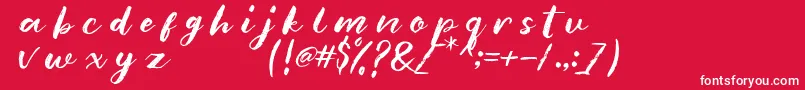 blankmonkey Font – White Fonts on Red Background
