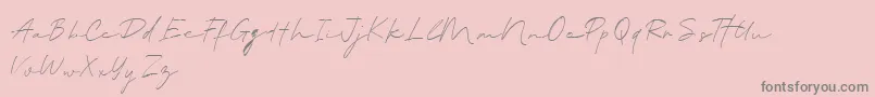 Fonte BlantePanamaScript DEMO – fontes cinzas em um fundo rosa