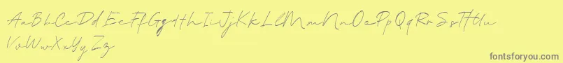 Czcionka BlantePanamaScript DEMO – szare czcionki na żółtym tle